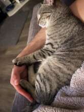 Daddy's Boy