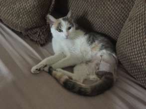 Miss J after surgery