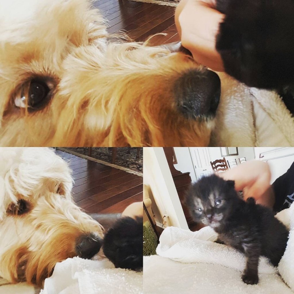 Molly and her pal