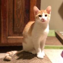 Ready for his forever home