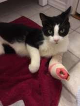 Hoping to save her leg