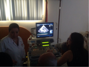 Heart scan image under review