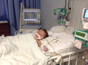 BB (six month old) recovering from surgery