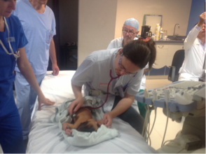 Team gathers to consider the surgery