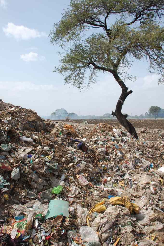 Take 100 Waste Pickers in India Out of Poverty