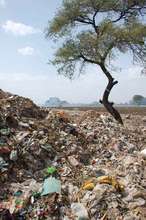 Open dumping in Osmanabad II