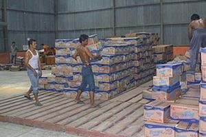 Food distribution to Indonesian tsunami survivors