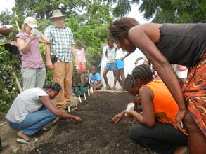 Vegetable gardens