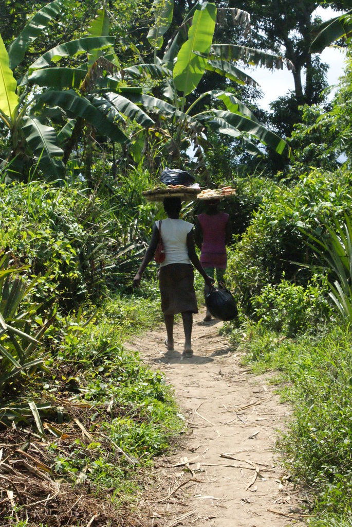 Vegetable Gardens for Improved Nutrition in Haiti