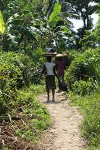 Women in Lory
