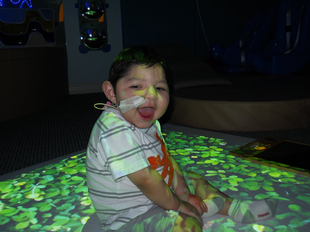 Provide respite and end-of-life care to children