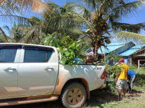 Loading seedlings to be planted in the rainforest!