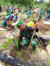 Participants in Green Day plant seedlings together