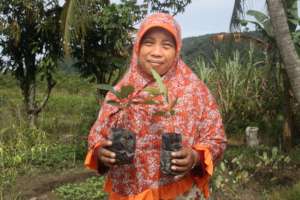 Misnanten holding seedlings used as payment