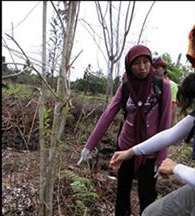 More than 50% of the workers were women!