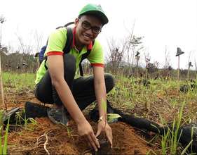 Laman Satong Replanting