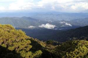 Gunung Palung National Park