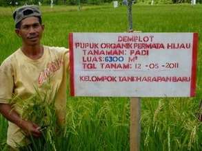 Proud organic rice farmer
