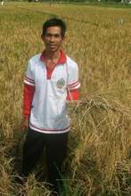 Pak Maknur in his organic rice padi