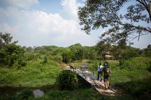 The Sedehan reforestation site - Chelsea Call