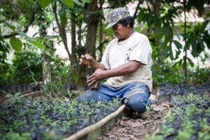 Reforestation at ASRI