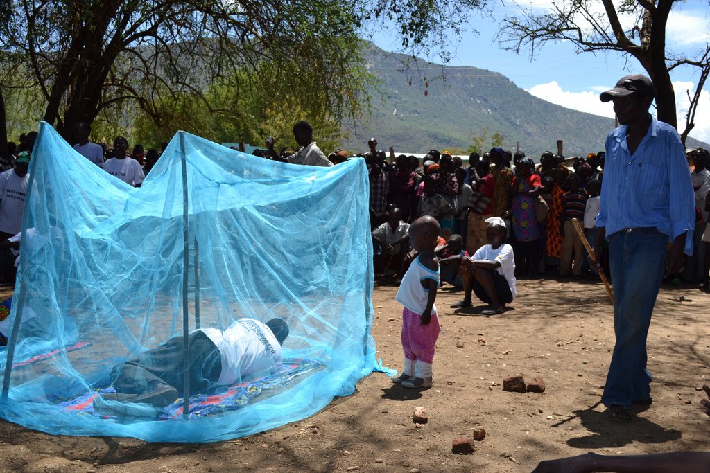 Reducing Malaria Deaths among Kenyan Children