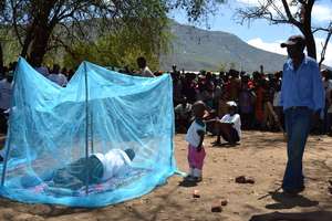 Mosquito net demonstration