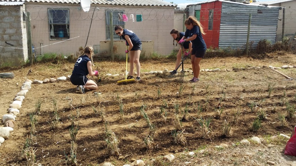 Hard at work preparing the garden