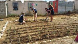 Hard at work preparing the garden