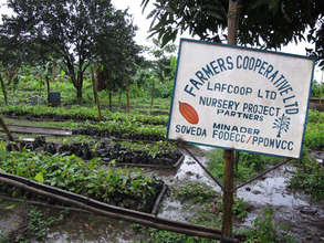We visit cocoa research sites
