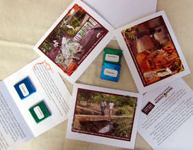 Three gift cards, $10 each