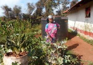 Shamba HODI restoring HOPE for DARMI