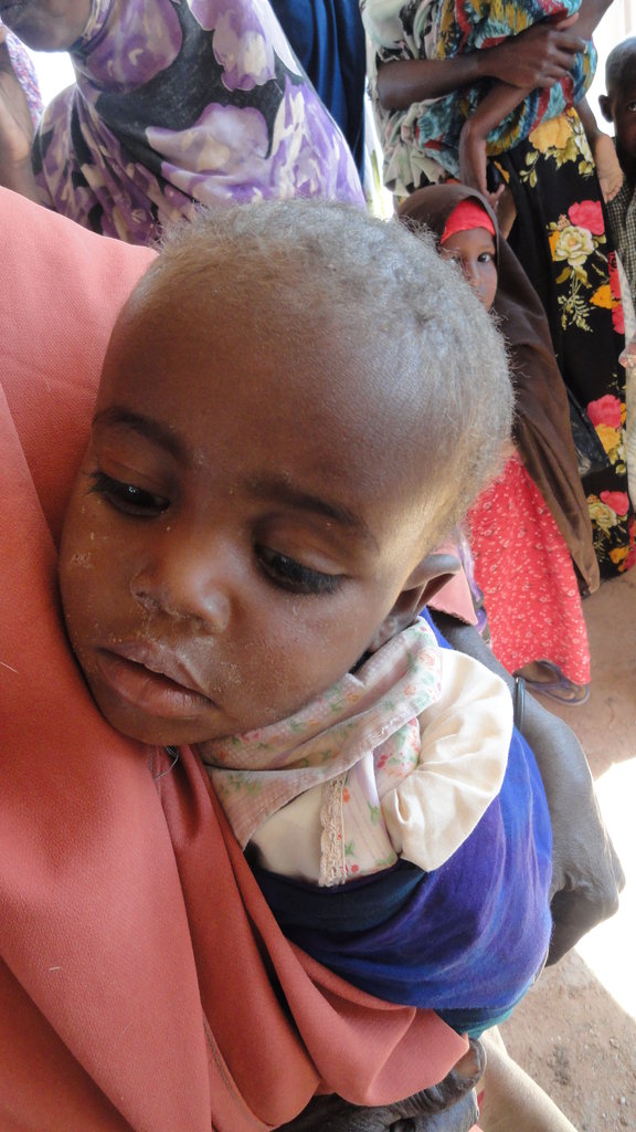 Horn of Africa Famine Relief