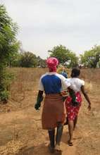 Off to the bush to check on the shea fruiting.