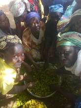 Depulping shea at a Just Shea Training session.