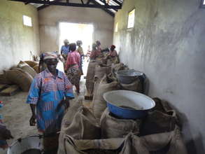 Bagging Just Shea sheanuts for the first big sale.