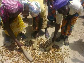 Women crack shea with wooden mallets to dehusk!
