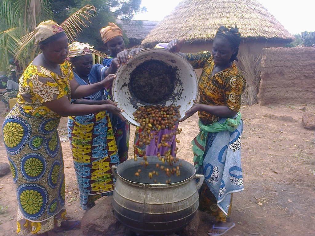 Shea nuts are heavy! Women help each other lift.