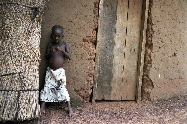 Help 375 Just Shea Women Harvest Safer, Earn More