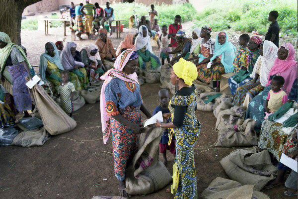 Help 375 Just Shea Women Harvest Safer, Earn More