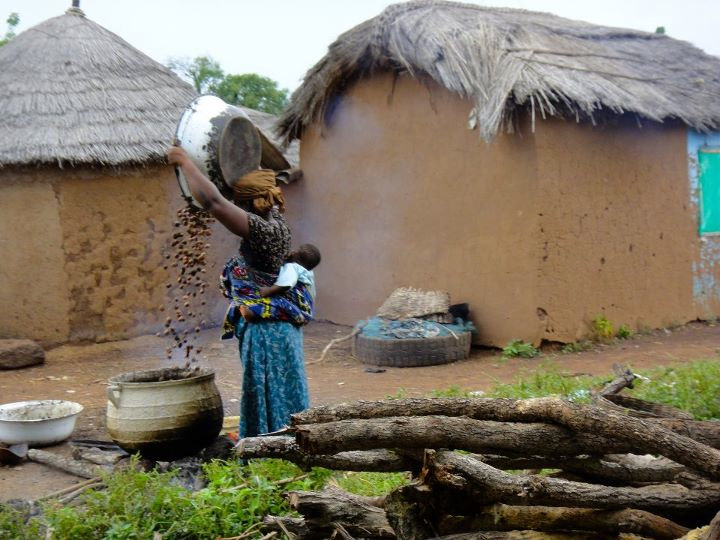Help 375 Just Shea Women Harvest Safer, Earn More