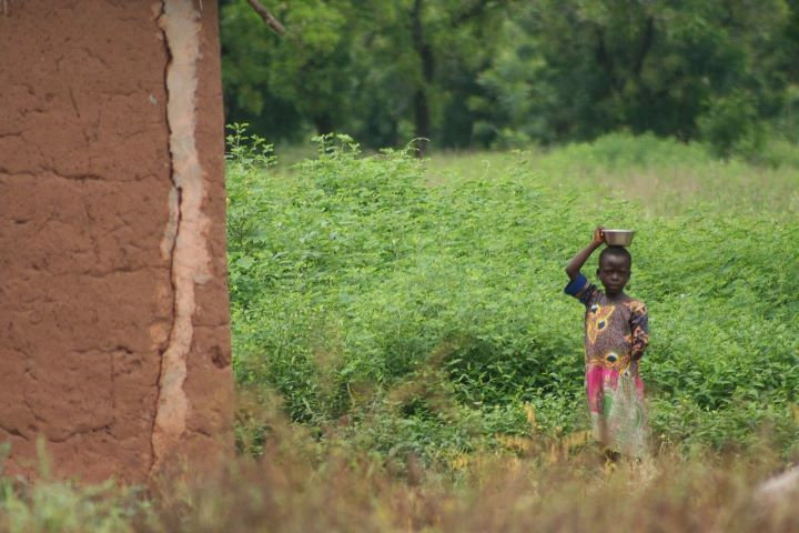 Help 375 Just Shea Women Harvest Safer, Earn More