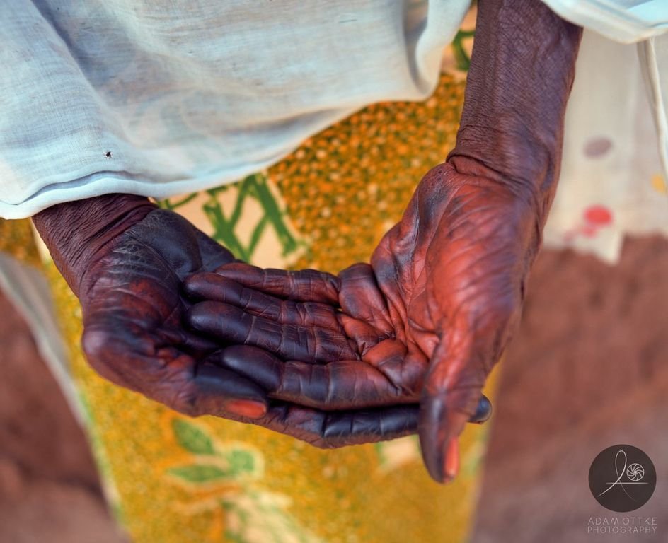 Help 375 Just Shea Women Harvest Safer, Earn More