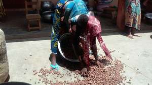 She will use this shea as collateral for a loan