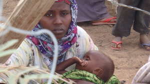 Horn of Africa, Drought