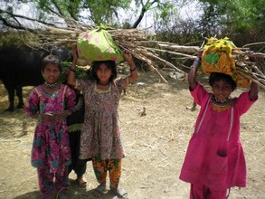 Young Girls picked wood for cooking purposes