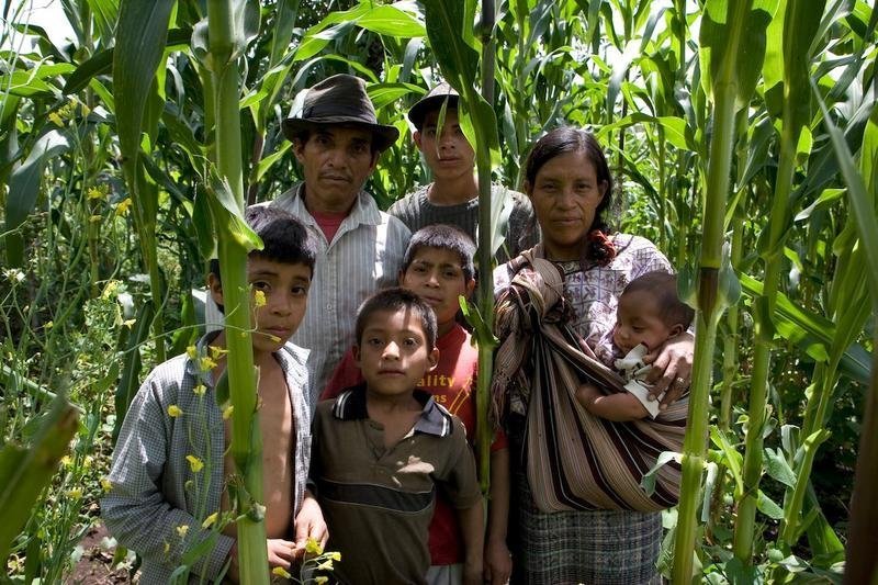 Support Sustainability for Guatemalan Farmers