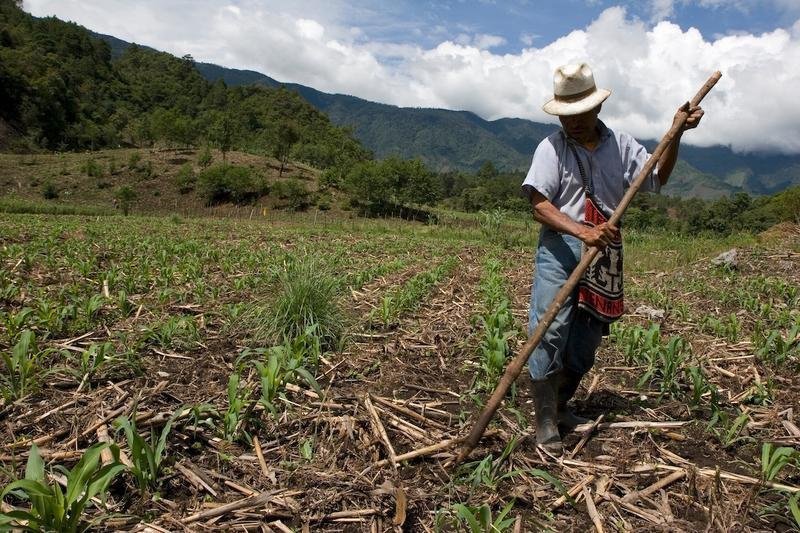 Support Sustainability for Guatemalan Farmers