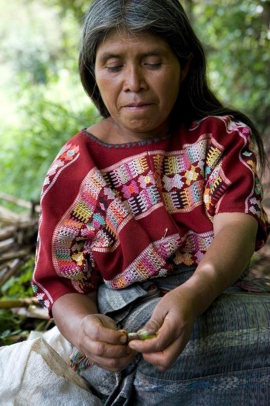 Support Sustainability for Guatemalan Farmers