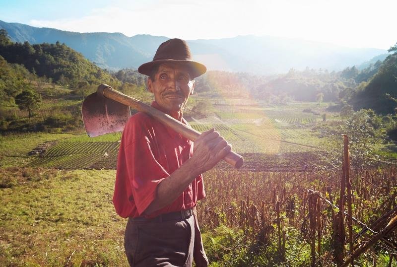 Support Sustainability for Guatemalan Farmers